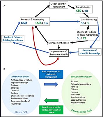 Specific initial training standards are needed to dive for science in Europe, Occupational vs. Citizen Science Diving